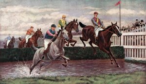 Courses de steeple-chase