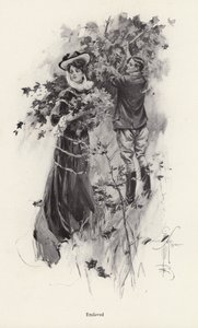 Femme cueillant des fleurs avec un admirateur masculin - Harrison Fisher