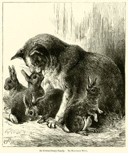 Une famille extraordinaire - Harrison William Weir