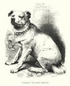 "Charlie," le sergent blanc - Harrison William Weir