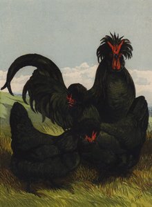 Crève-Cœur - Harrison William Weir