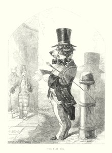 Drôles de chiens : Le chien rapide (gravure)