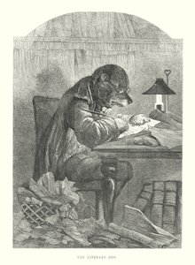 Drôles de chiens : Le chien littéraire (gravure) - Harrison William Weir