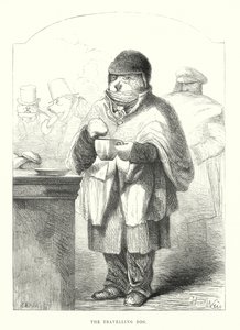 Drôles de chiens : Le chien voyageur (gravure) - Harrison William Weir