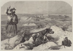 Chasse au tétras (gravure) - Harrison William Weir