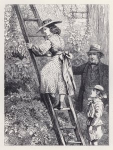 Harriet espionne le nid des rouges-gorges (gravure)