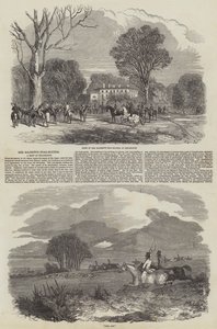 Les chiens de chasse de Sa Majesté à Hillingdon - Harrison William Weir