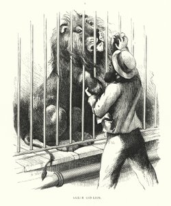 Marin et lion - Harrison William Weir