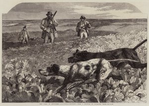 Le Premier Septembre, Chasse à la perdrix - Harrison William Weir
