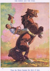 Ainsi le cheval est devenu l
