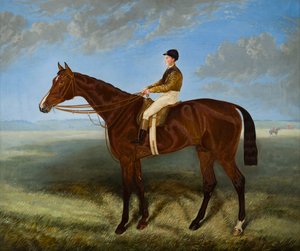 Salpinctes, un cheval de course - Harry (after) Hall
