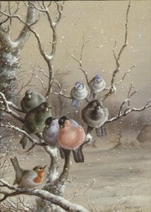 Oiseaux sur une branche enneigée