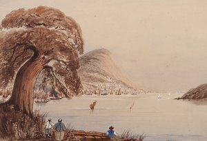 Vue d