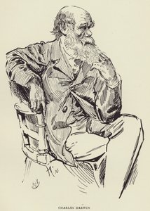 Charles Darwin - Harry Furniss