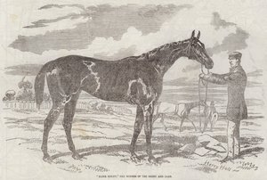 Blink Bonny, le gagnant du Derby et des Oaks - Harry Hall