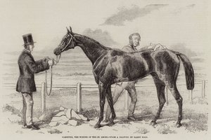 Gamester, le gagnant du St Leger - Harry Hall
