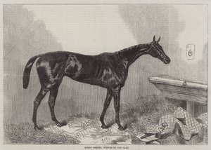 Reine Bertha, gagnante des Oaks