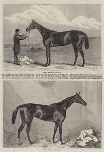 Cheval de course