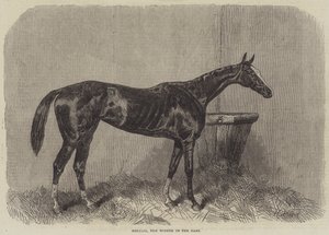 Regalia, le Vainqueur des Oaks