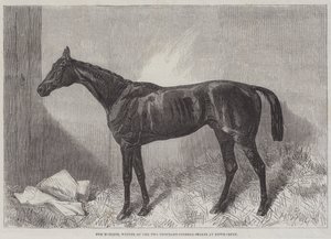 Le Marquis, vainqueur des Two Thousand Guineas Stakes à Newmarket