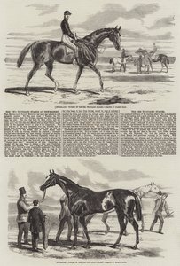 Les Deux Mille Stakes à Newmarket - Harry Hall