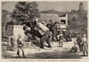 Afghanistan, fortifiant une position, éléphants rasant des dépendances