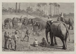 Un éléphant Pooay en Haute-Birmanie - Harry Hamilton Johnston