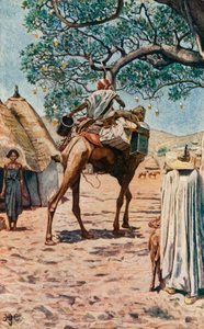 À Bornu