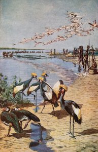 Les rives nord du lac Tchad, vues par Denham en 1822 - Harry Hamilton Johnston