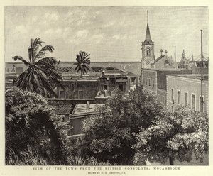 Vue de la ville depuis le consulat britannique, Mozambique - Harry Hamilton Johnston