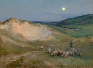 Soirée sur les dunes (huile sur toile)