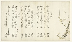 Prunier - Hasegawa Settan