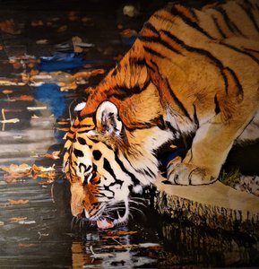 Tigre - HaskellArt