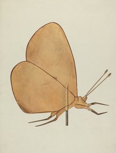 Girouette papillon, c. 1938 - Hazel Hyde
