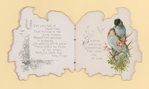 Oiseaux - Hector Giacomelli