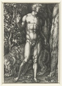 Adam - Heinrich Aldegrever