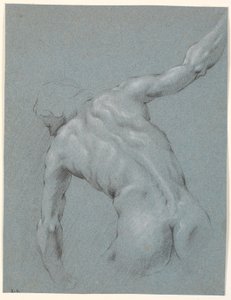 Modèle masculin penché en avant, vu de dos