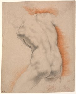 Modèle masculin courbé vers la gauche, vu de dos - Heinrich Dittmers