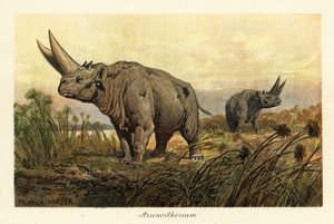Arsinotherium, genre éteint de mammifères paenungulés (impression) - Heinrich Harder
