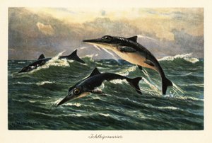 Ichthyosaures éteints sautant au-dessus de l