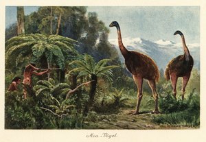 Oiseaux moa chassés par des hommes avec des arcs et des flèches