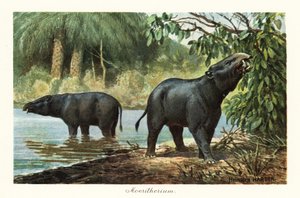 Moeritherium, genre éteint de proboscidiens de l