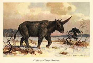 Licorne sibérienne, Elasmotherium sibiricum, sur une plaine enneigée