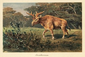 Sivatherium giganteum dans une clairière de la jungle