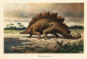 Stegosaurus armatus du Jurassique tardif - Heinrich Harder