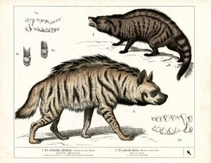  - Heinrich Leutemann