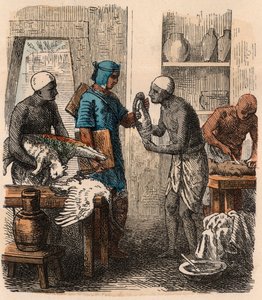 Égypte antique : Embaumement des animaux, 1866