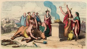 Grèce antique : Sacrifice rituel de taureau - Grèce à l