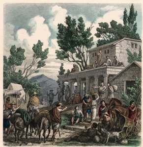 Grèce antique : Le chemin vers Olympie à l