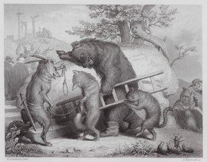 Reynard Le Renard : Le chemin de l